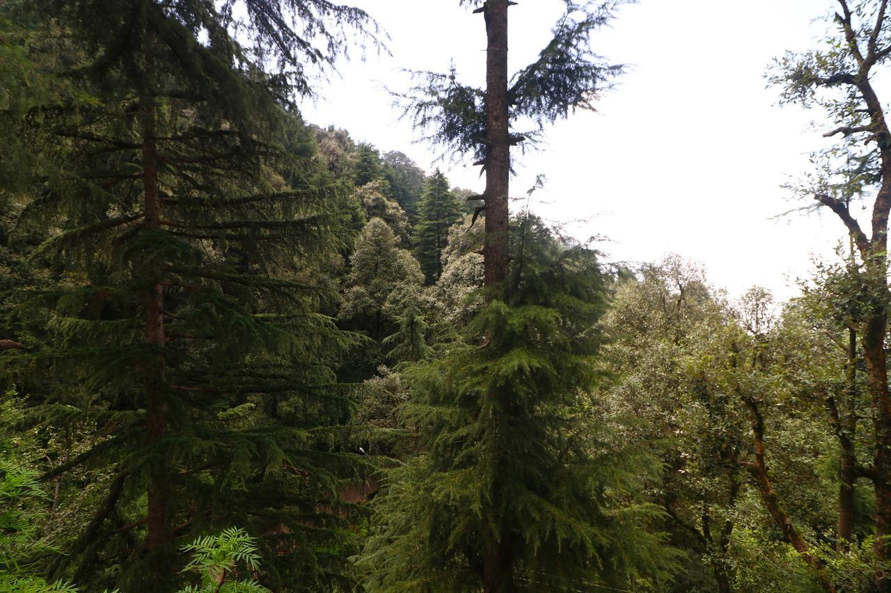 Vilasa Lall Ji Resort Dalhousie Luaran gambar